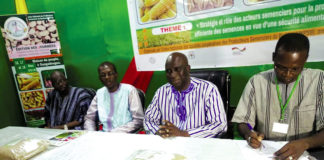 1re édition des journées des semences améliorées : Les acteurs satisfaits