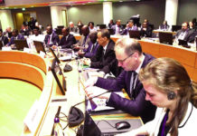 G5 Sahel : L’engagement de l’UE pour la force conjointe