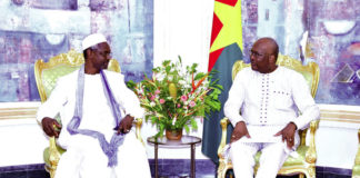 Lutte contre la désertification : les efforts du Burkina Faso salués par les Nations unies