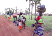 Conflit communautaire dans la Comoé : cinq morts et plusieurs blessés à Sitiéna/ Djongolo