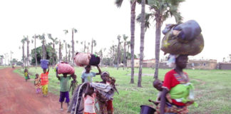 Conflit communautaire dans la Comoé : cinq morts et plusieurs blessés à Sitiéna/ Djongolo