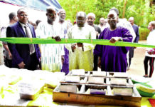 Sécurité alimentaire : Une foire pour la promotion des semences améliorées
