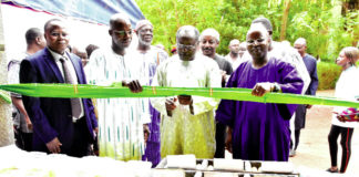 Sécurité alimentaire : Une foire pour la promotion des semences améliorées