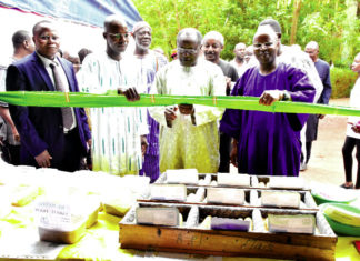 Sécurité alimentaire : Une foire pour la promotion des semences améliorées