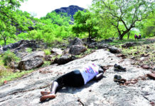 L’équation des tricycles