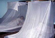 Le président du Faso pour un Burkina sans palu (Déclaration)