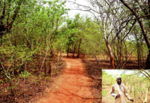 Forêt de Gourga dans le Yatenga : l’écocide d’un «patrimoine mondial»