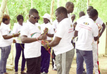 Direction des grandes entreprises : le jeu pour renforcer l’esprit d’équipe