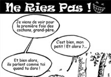 Sourire du 4 juillet 2019