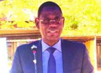 Développement du secteur rural