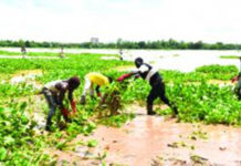 Agence de l’eau du Nakanbé : une offensive contre la jacinthe d’eau