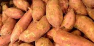 Trouver le point d’équilibre de l’agriculture africaine