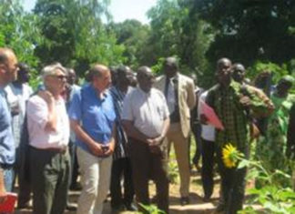 Filière oléo-protéagineuse : vers un partenariat entre le Burkina Faso et Agropol