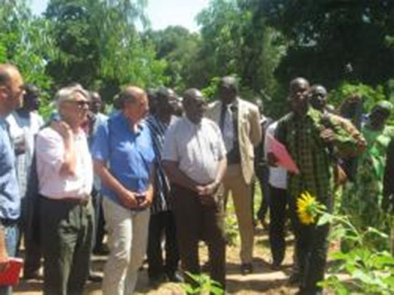 Filière oléo-protéagineuse : vers un partenariat entre le Burkina Faso et Agropol