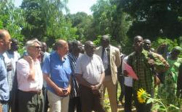 Filière oléo-protéagineuse : vers un partenariat entre le Burkina Faso et Agropol