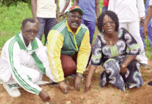Forêt classée de Zamcé: un renfort de 1500 plants