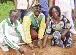 Forêt classée de Zamcé: un renfort de 1500 plants