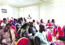 Loi sur le quota-genre