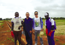 Insécurité alimentaire : Le remède du mil hybride