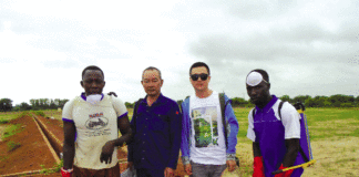 Insécurité alimentaire : Le remède du mil hybride