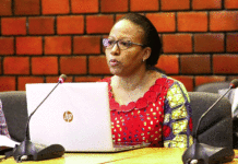 Paludisme au Burkina Faso : Le Sud-Ouest en tête avec 39% des cas