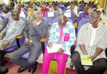 Récupération des terres dégradées : Beog Puuto pour redonner la fertilité à 30 000 hectares de sols