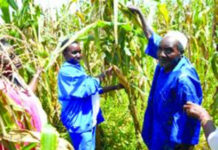 Régions des Cascades : les inondations menacent les cultures