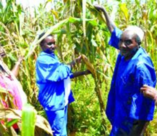 Régions des Cascades : les inondations menacent les cultures
