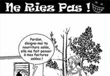 Sourire du 15 07 2019