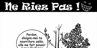 Sourire du 15 07 2019