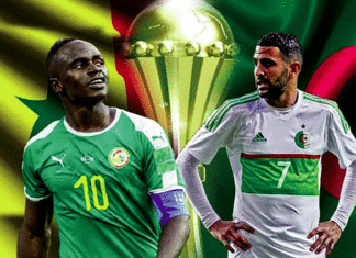 CAN Egypte 2019 : Qui de l’Algérie ou du Sénégal succédera au Cameroun ?