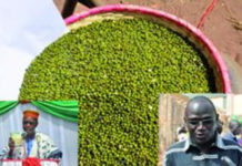 Sécurité alimentaire : le Mung bean, pour lutter contre la faim dans les Hauts-Bassins