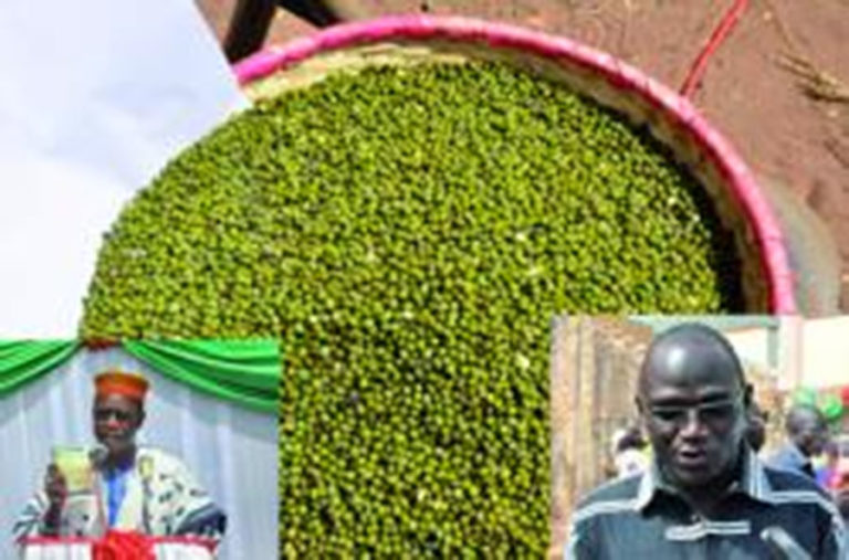 Sécurité alimentaire : le Mung bean, pour lutter contre la faim dans les Hauts-Bassins