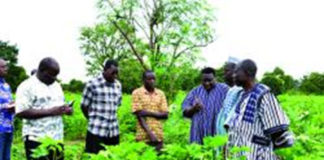 Zone cotonnière de Koudougou : La SOFITEX encourage les producteurs de Léo et Sapouy