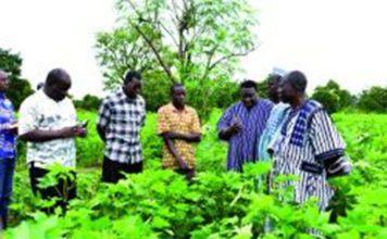 Zone cotonnière de Koudougou : La SOFITEX encourage les producteurs de Léo et Sapouy