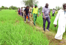 Campagne humide 2019-2020 : mention passable au Centre, selon le ministre Salif Ouédraogo