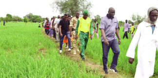 Campagne humide 2019-2020 : mention passable au Centre, selon le ministre Salif Ouédraogo