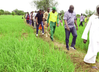 Campagne humide 2019-2020 : mention passable au Centre, selon le ministre Salif Ouédraogo