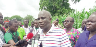 Campagne agricole humide à l’Est : près de 75 000 T de rendements attendues