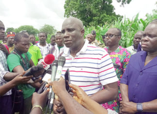 Campagne agricole humide à l’Est : près de 75 000 T de rendements attendues