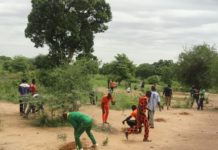 Reboisement à Barkoundba-Mossé : Plus de 1 000 plants mis en terre