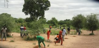 Reboisement à Barkoundba-Mossé : Plus de 1 000 plants mis en terre