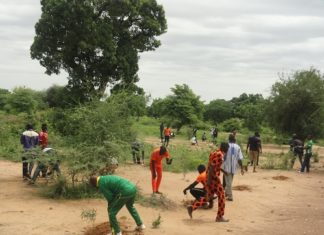 Reboisement à Barkoundba-Mossé : Plus de 1 000 plants mis en terre