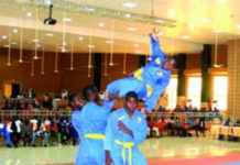 Championnat national de Vovinam Viet Vo Dao: Ousmane Sibiri Bagayogo illumine la compétition