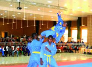 Championnat national de Vovinam Viet Vo Dao: Ousmane Sibiri Bagayogo illumine la compétition