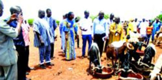 Foire du Centre-Nord : 850 petits ruminants et 2 500 poulets à vendre en 72 heuresFoire du Centre-Nord : 850 petits ruminants et 2 500 poulets à vendre en 72 heures