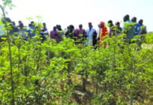 Le ministre Jacob Ouédraogo visite la ferme biologique du Larlé Naaba