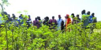 Le ministre Jacob Ouédraogo visite la ferme biologique du Larlé Naaba