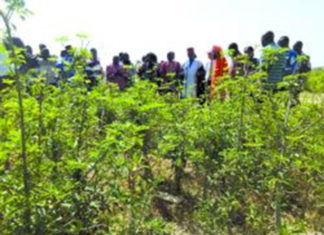 Le ministre Jacob Ouédraogo visite la ferme biologique du Larlé Naaba