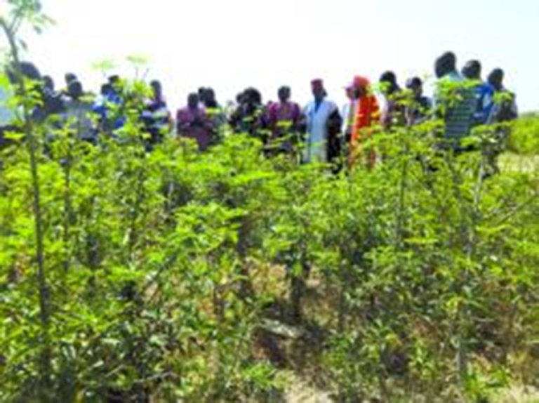 Le ministre Jacob Ouédraogo visite la ferme biologique du Larlé Naaba